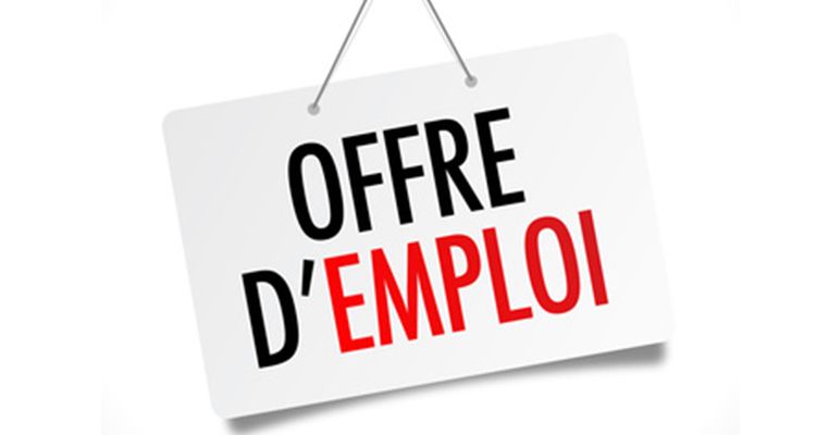 Odoo CMS - une grande photo